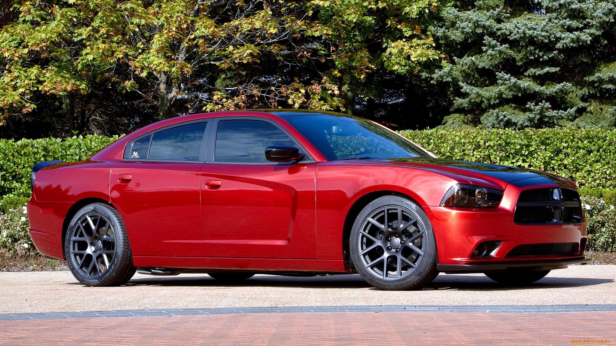 dodge charger, , dodge